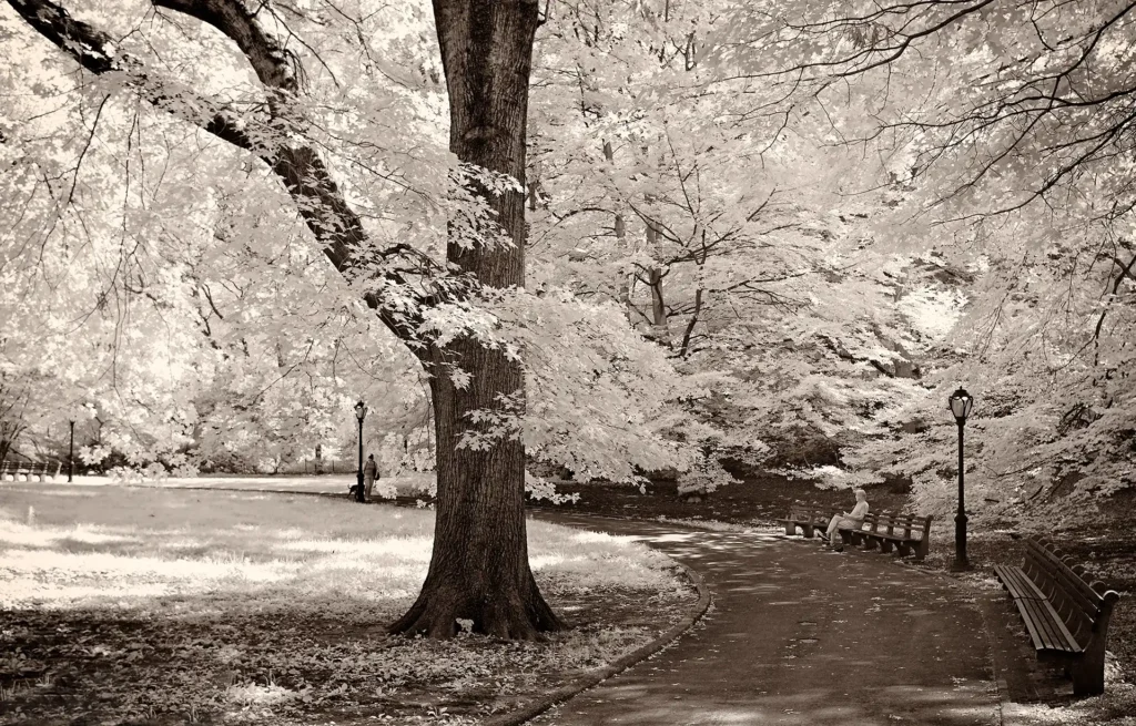 CENTRAL_PARK_EAST_SIDE_IR