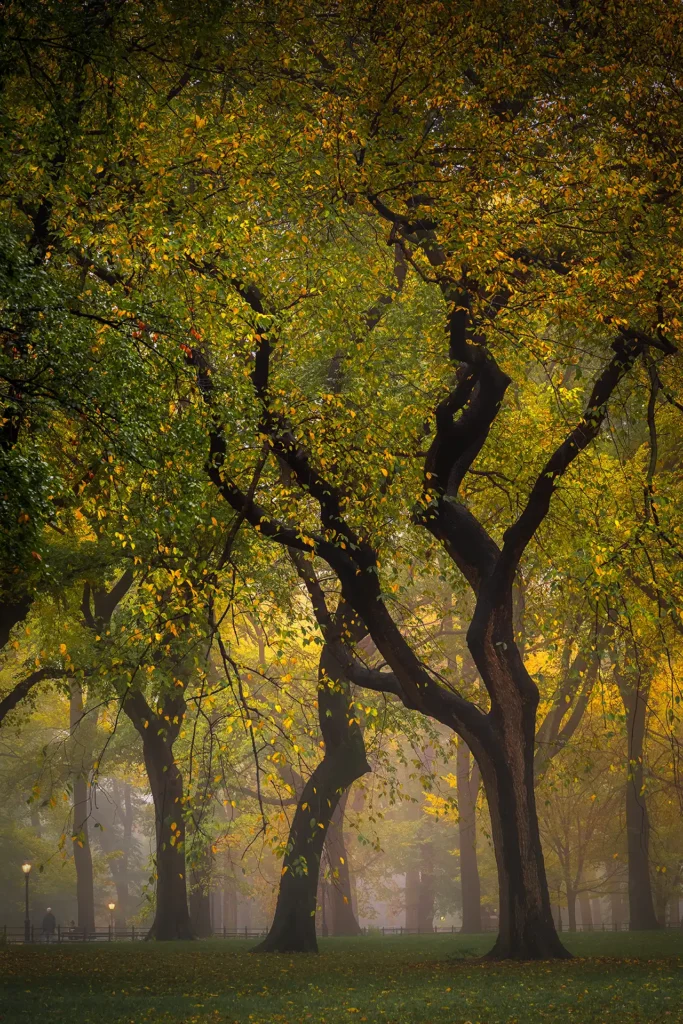 CP_2022_FALL2_CRAGGY_TREES