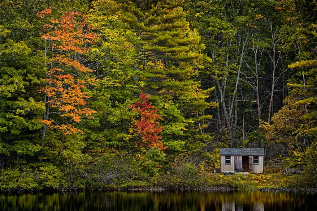 LAKESIDE_SHED_1
