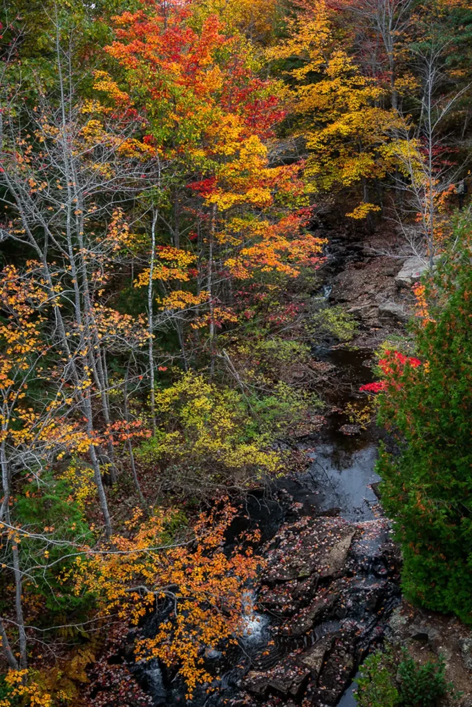 MAINE_1
