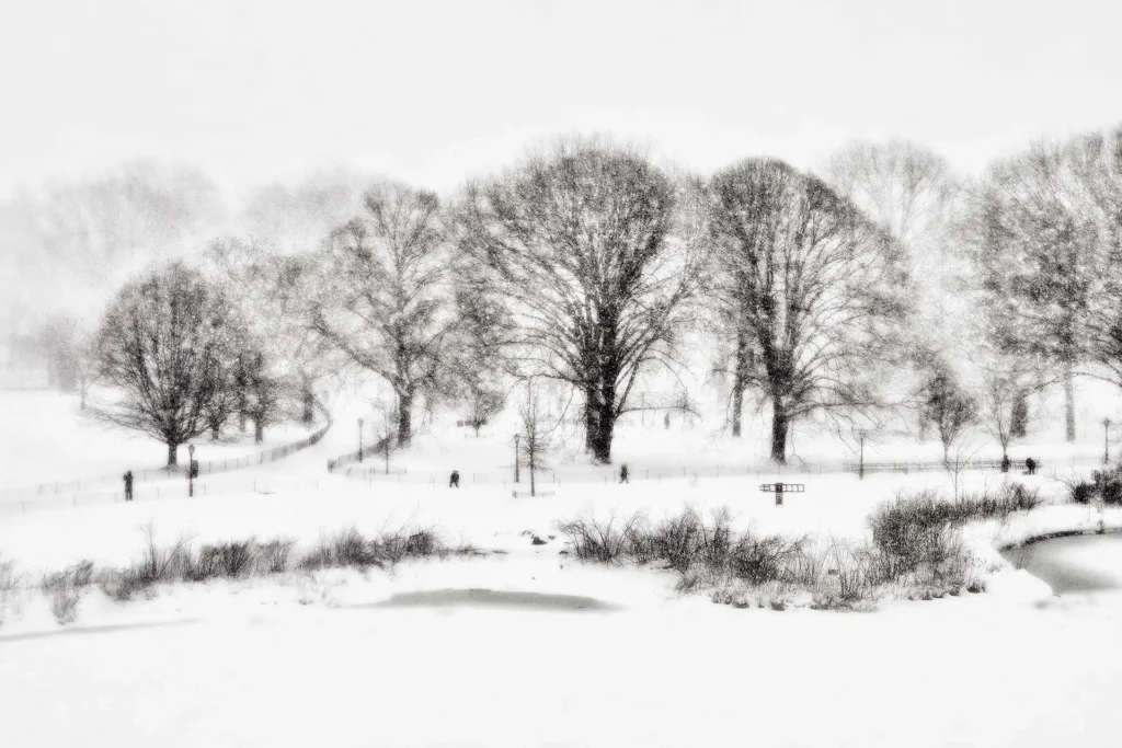 CP_SNOWFALL_4