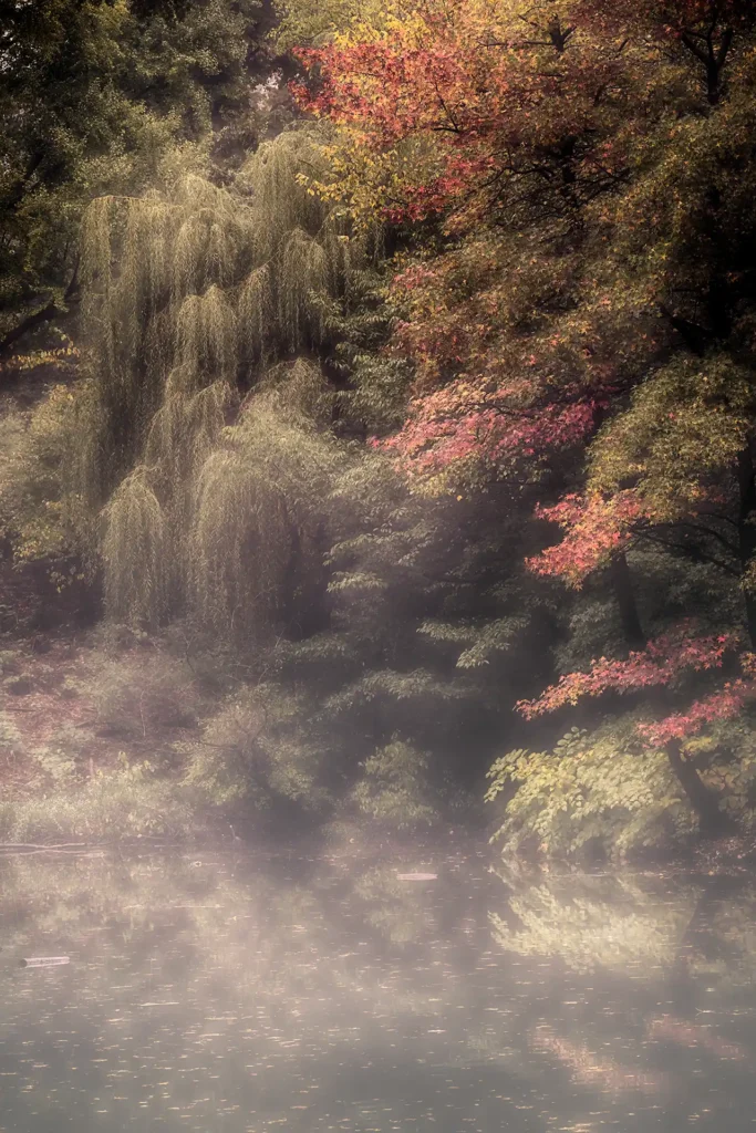 OAK_BRIDGE_POND_1