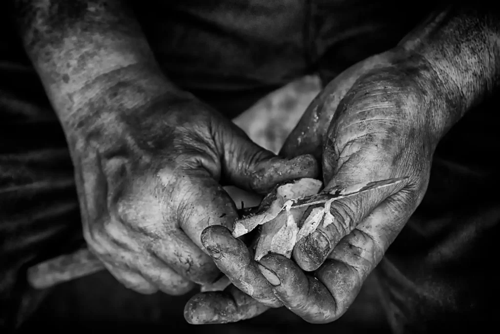 CUBAN_FRUIT_CARVER
