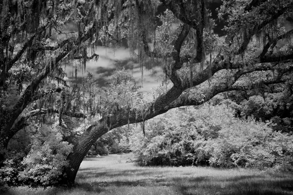 FARM_TREES